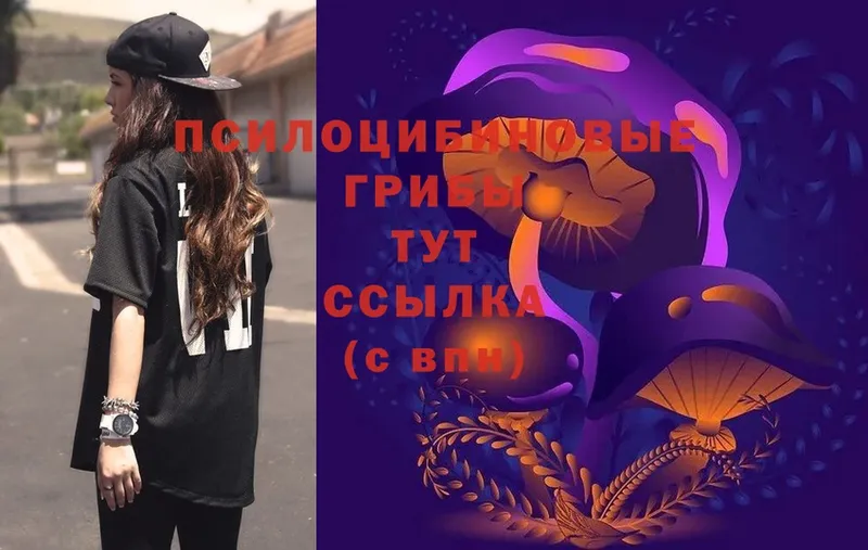 что такое   Ижевск  Псилоцибиновые грибы Magic Shrooms 